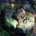 Michele Fountain Photo 9