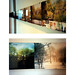 Patricia Tompkins Photo 6