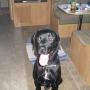 Mark Zanders Photo 24