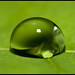 Michael Lint Photo 11