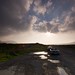 Martin Healey Photo 29