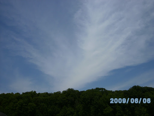 Kimberly Clemmons Photo 11
