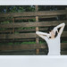 Emily Brody Photo 6