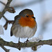 Robin Slater Photo 11