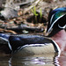 Brian Maskell Photo 9