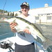 Richard Rau Photo 34