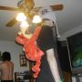 David Moyer Photo 10