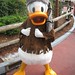 Donald Davey Photo 9