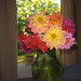 Debra Barrington Photo 12