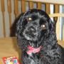 Donna Pedersen Photo 21
