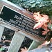 Jean Henderson Photo 11