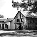 Gayle Johnson Photo 14