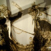 Angele Ellis Photo 14