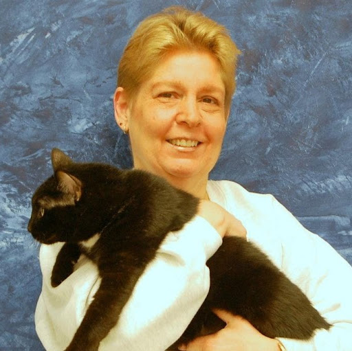 Lisa Ward Photo 32