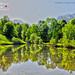 Richard Hofmann Photo 34