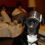 Melissa Napier Photo 28