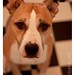 Lois Stafford Photo 19