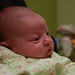 Sarah Starnes Photo 16