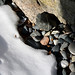 Lucky Winters Photo 5