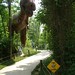 Rex Cross Photo 14