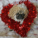 Robin Valentine Photo 26