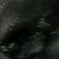 George Allan Photo 26