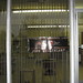 Larry Bohannon Photo 17