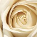 Jamie Flora Photo 10
