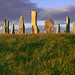 Lewis Stone Photo 32
