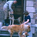 Sandy Wolff Photo 19