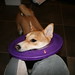 Chloe Harder Photo 3