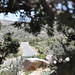 Joshua Lane Photo 24