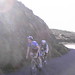 Tracy Phipps Photo 13