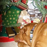 Julie Barcus Photo 6