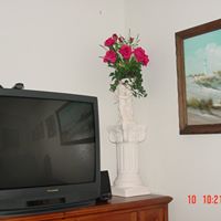 Jerry Forest Photo 12