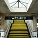 Charles Groves Photo 33