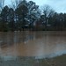 Ronald Coker Photo 13