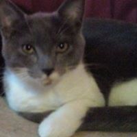 Christine Mcginniss Photo 3