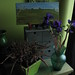 Heather Hopper Photo 19