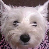 Ruby Jenkins Photo 1