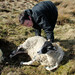 Tony Farmer Photo 36