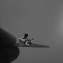 Jose Amaya Photo 43