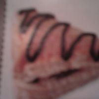 Shelly Wall Photo 24