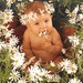 Anne Card Photo 11