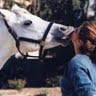 Amy Tompkins Photo 11