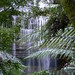 Fern Russell Photo 15