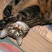 Carolyn Patrick Photo 25