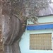 Dinh Quan Photo 26