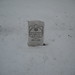 Timothy Graves Photo 17