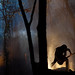 John Moyer Photo 13